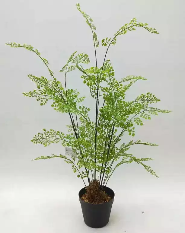 2020 Artificial Fern Plants 25 CM ~ 120 CM, Potted Indoor Outdoor Trees